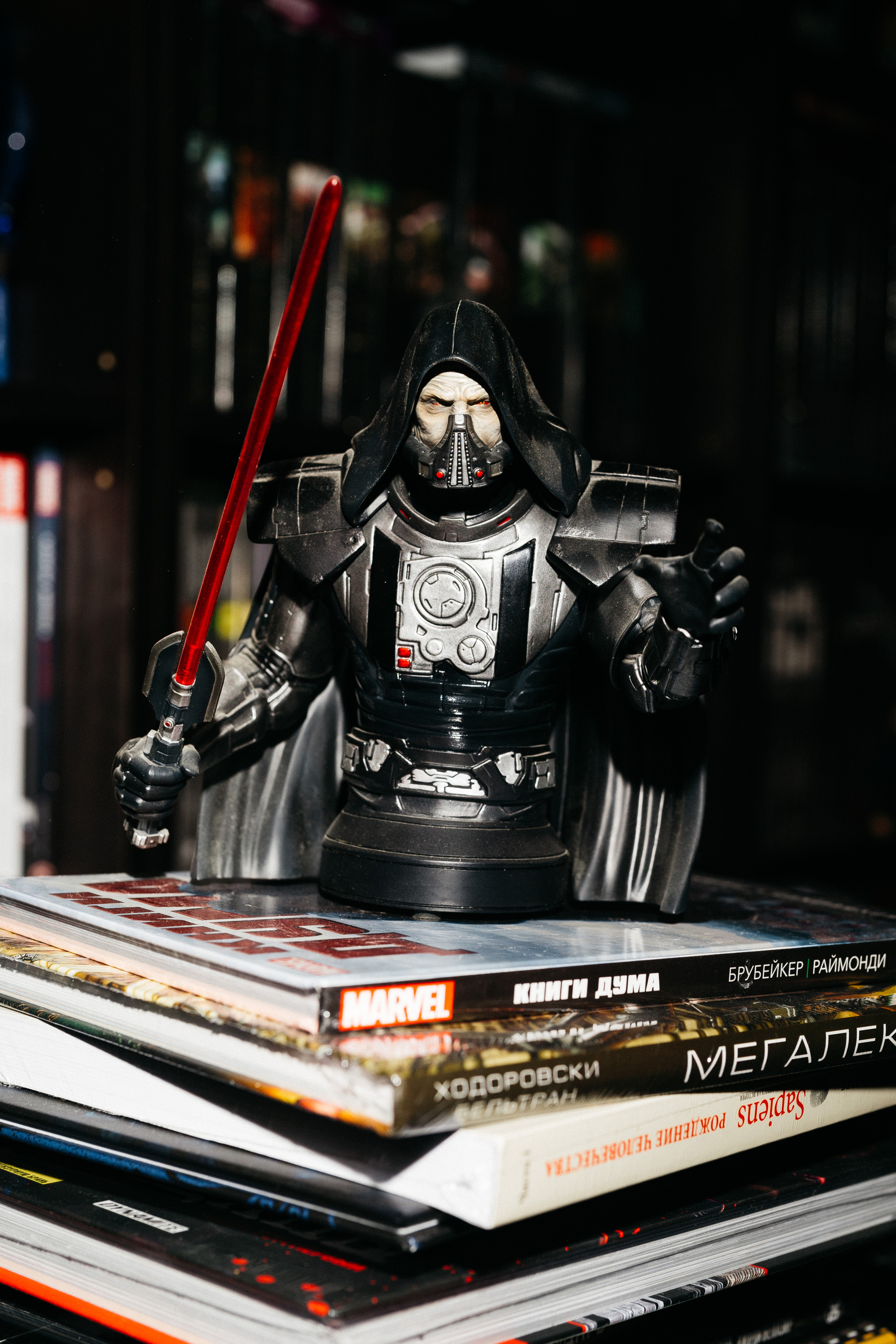 Who guards your bookshelves? - My, Collection, Collecting, Collector's Edition, Figurines, Cyberpunk 2077, The Elder Scrolls V: Skyrim, Fallout 76, Fallout, Longpost