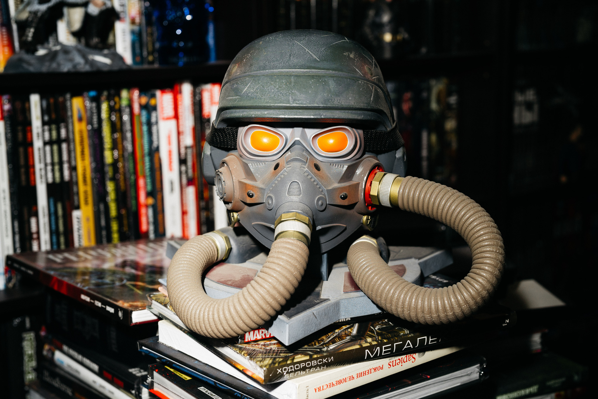 Who guards your bookshelves? - My, Collection, Collecting, Collector's Edition, Figurines, Cyberpunk 2077, The Elder Scrolls V: Skyrim, Fallout 76, Fallout, Longpost