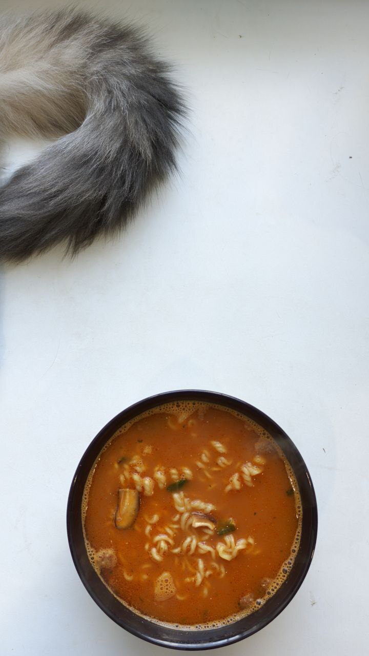 Blitz review of noodles (21 types) part 2 - My, Noodles, Overview, Beachpacket, cat, Mobile photography, Longpost