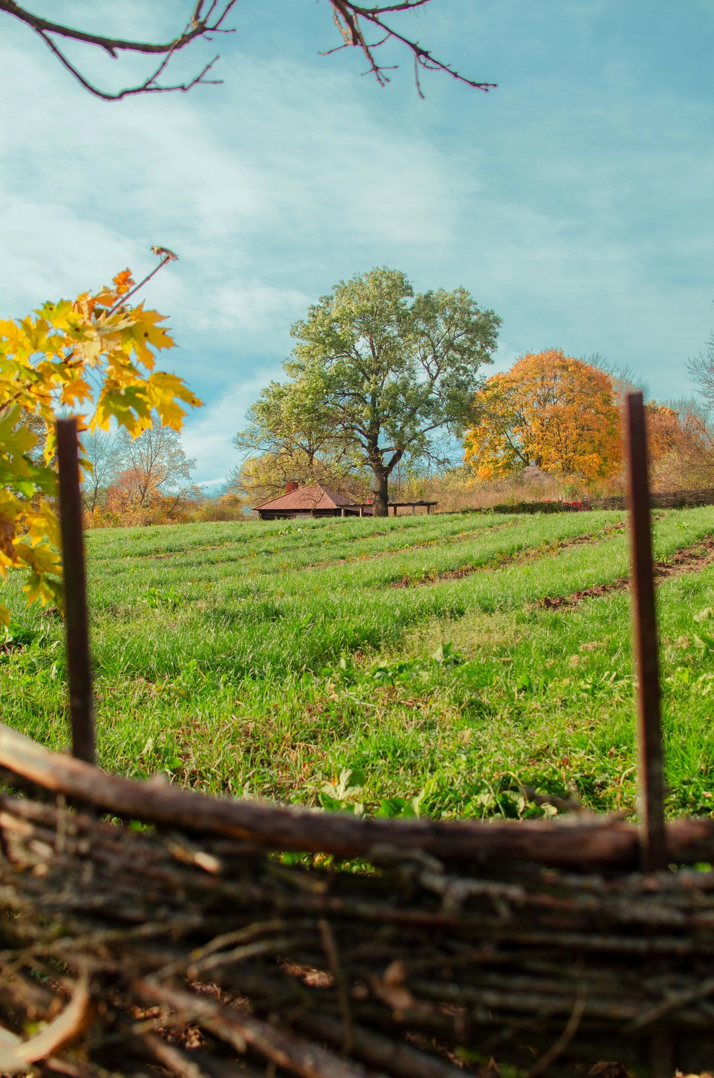 Autumn in Yasnaya Polyana - My, The photo, Yasnaya Polyana, Nature, Longpost