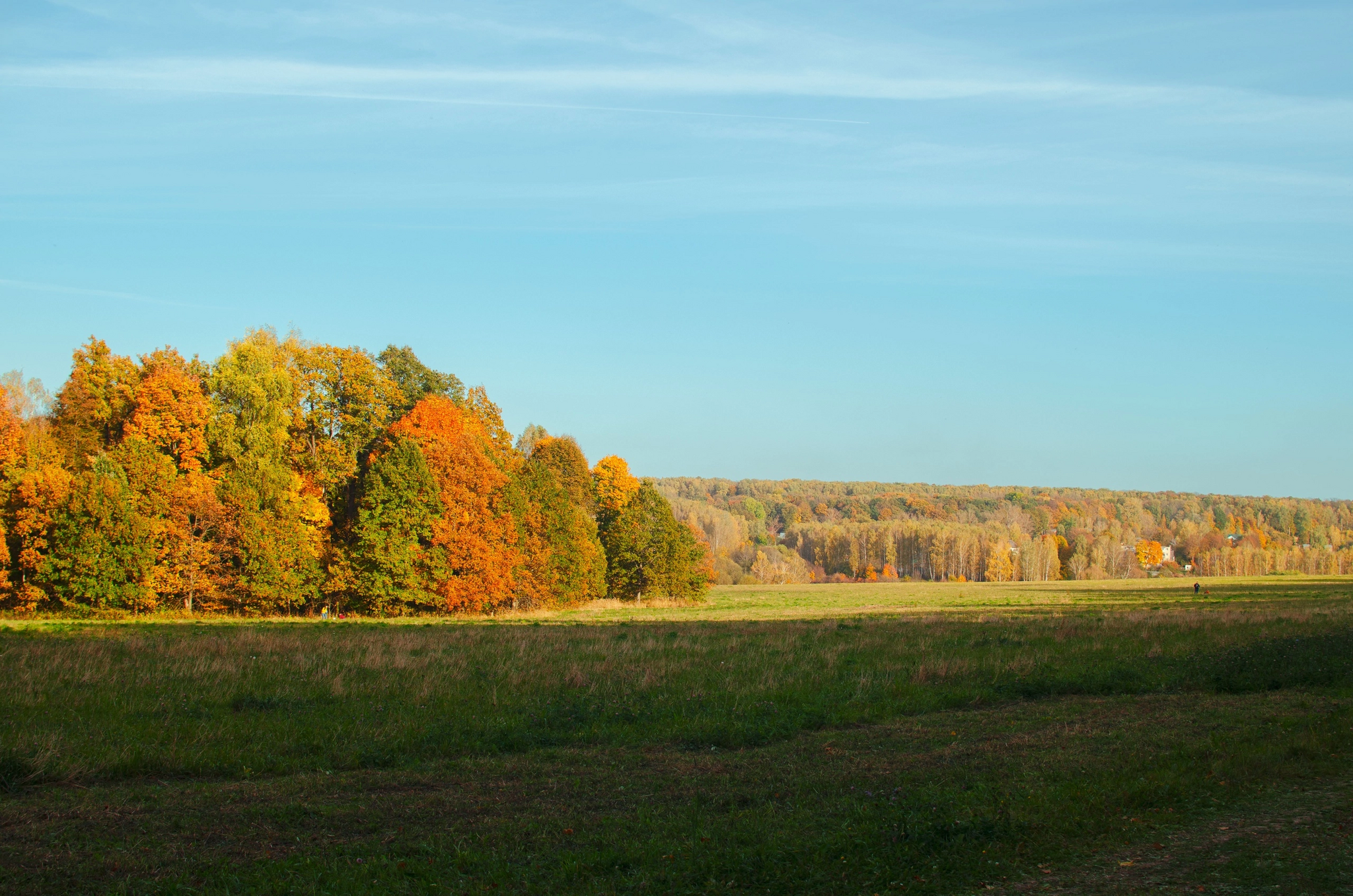 Autumn in Yasnaya Polyana - My, The photo, Yasnaya Polyana, Nature, Longpost