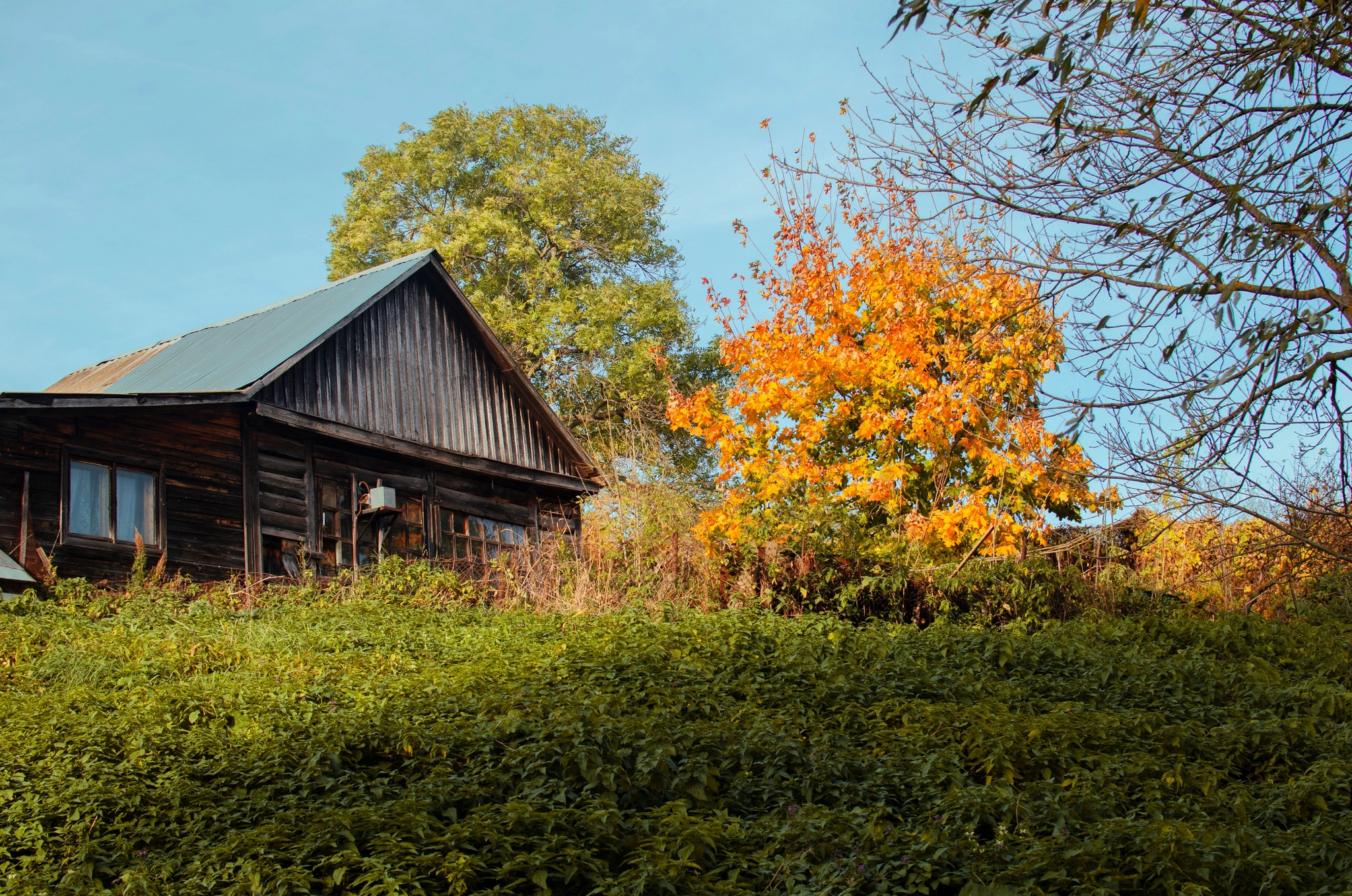 Autumn in Yasnaya Polyana - My, The photo, Yasnaya Polyana, Nature, Longpost