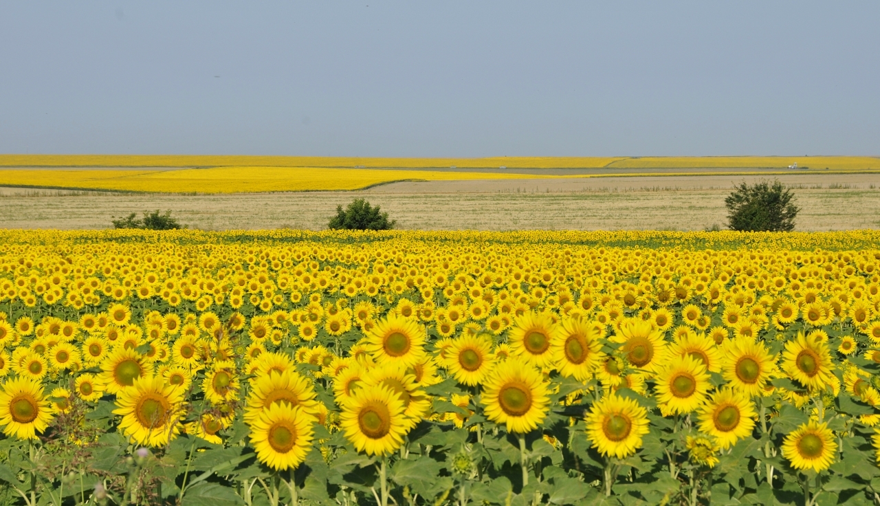 Roads of Romania - My, Travelers, Travels, Road, Romania, Longpost