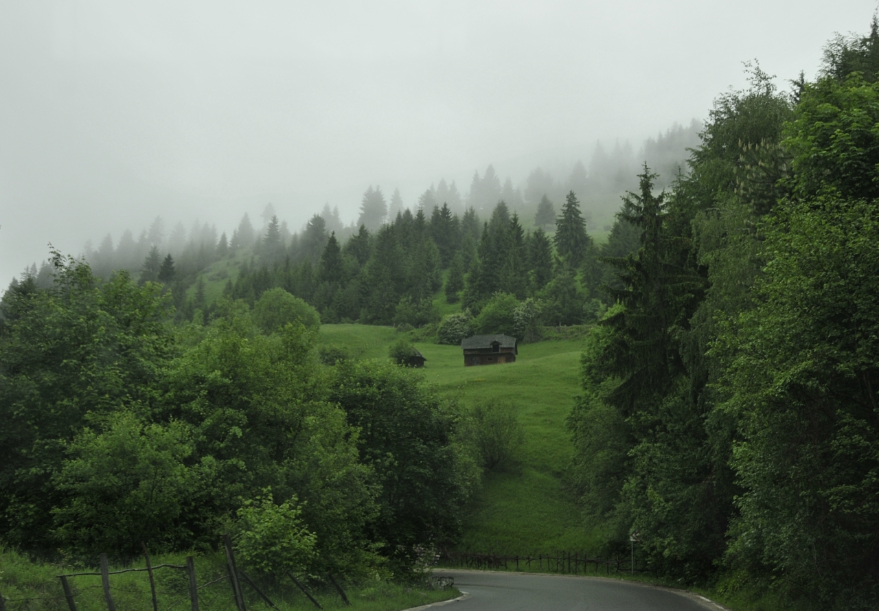 Roads of Romania - My, Travelers, Travels, Road, Romania, Longpost