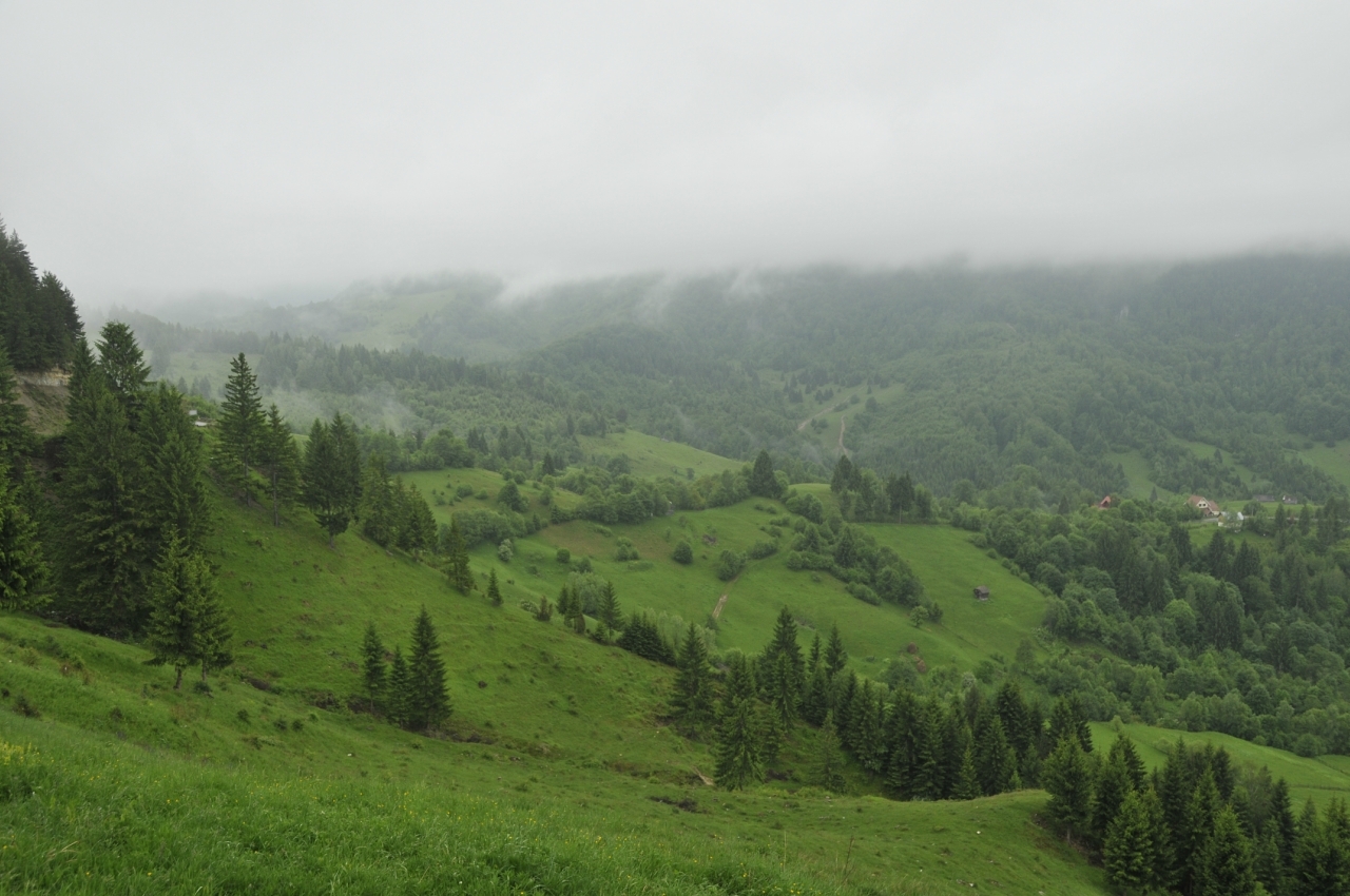 Roads of Romania - My, Travelers, Travels, Road, Romania, Longpost