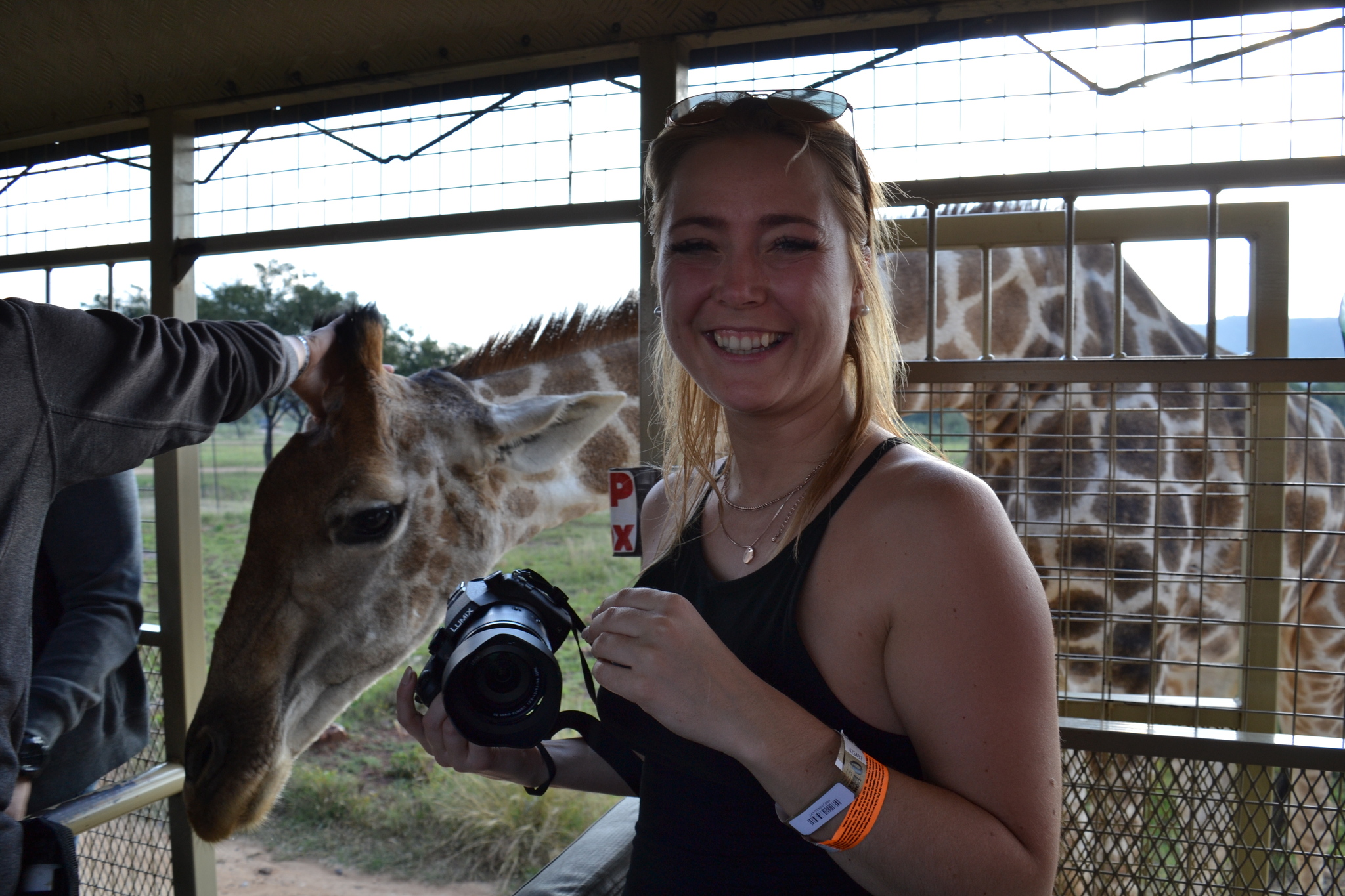 Go, children, to Africa for a walk (1) - My, Travels, Happiness, Motorcyclists, South Africa, Eames, Vacation, Desert, Adventures, Saidkar, Oppose, Johannesburg, Drive, Safari Park, South Africa, Longpost