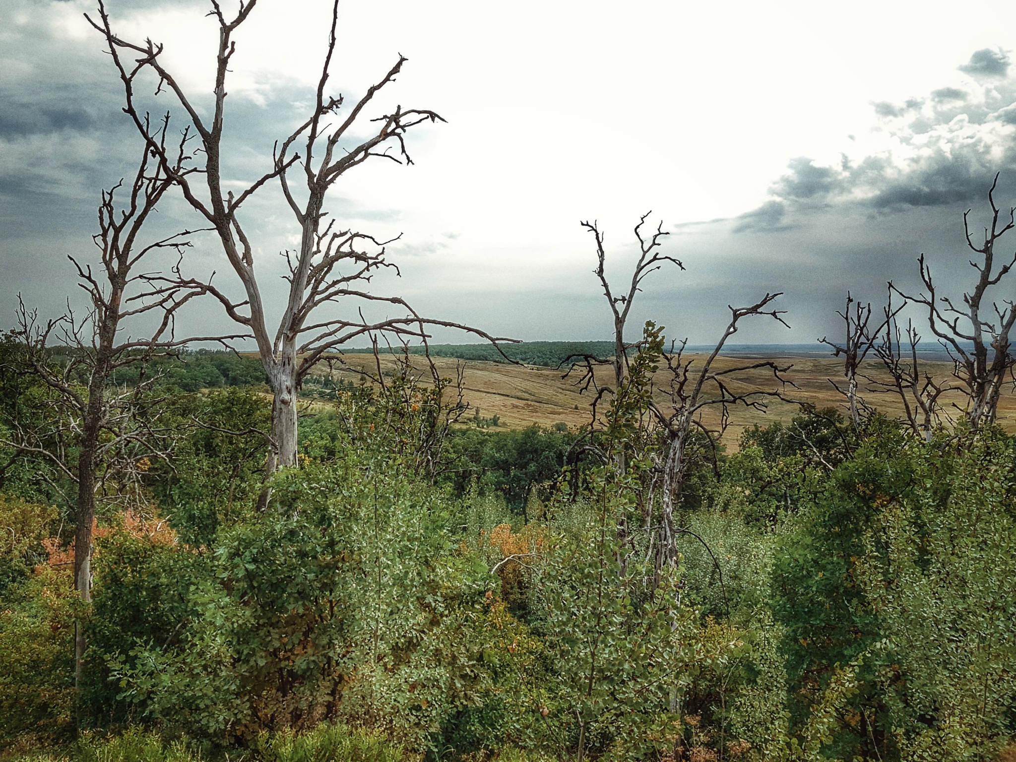 Medveditskaya ridge - My, Travels, Medveditskaya ridge, Volgograd, Saratov, Tourism, Туристы, Hike, Relaxation, Vacation, beauty, The photo