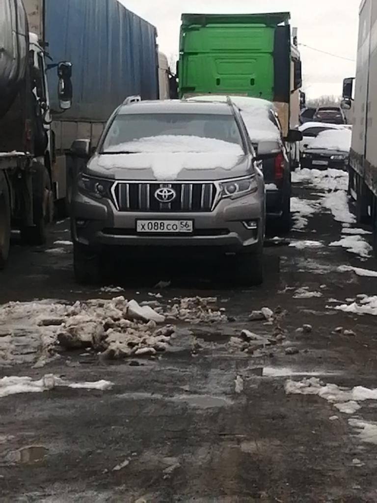 Пикабу, нужен твой совет! | Пикабу