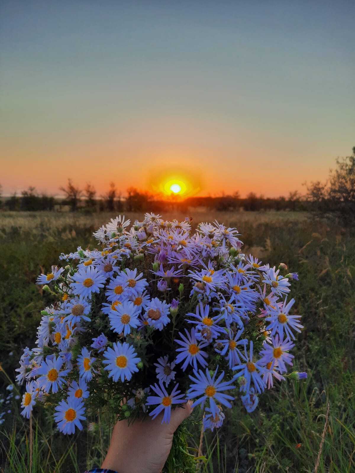 Summer - My, Summer, Beautiful, Heat, Altai region, Nature, Yearning