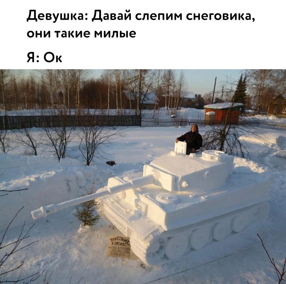 dream snowman - Humor, snowman, Tanks, Picture with text