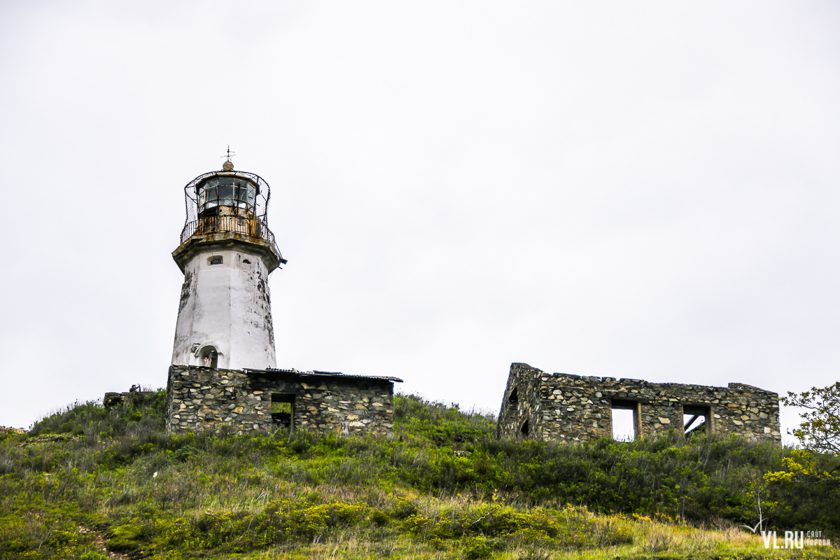 About lighthouses and nature - My, The nature of Russia, Lighthouse Keeper, Longpost, Lighthouse, Mushrooms, Rose hip, A rock