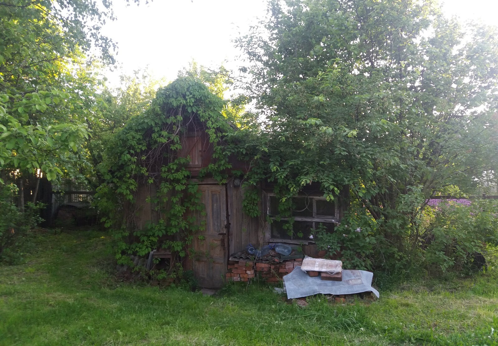 Cellar. My little building. Second step - My, Construction, Cellar, Hozblock, Longpost, The photo