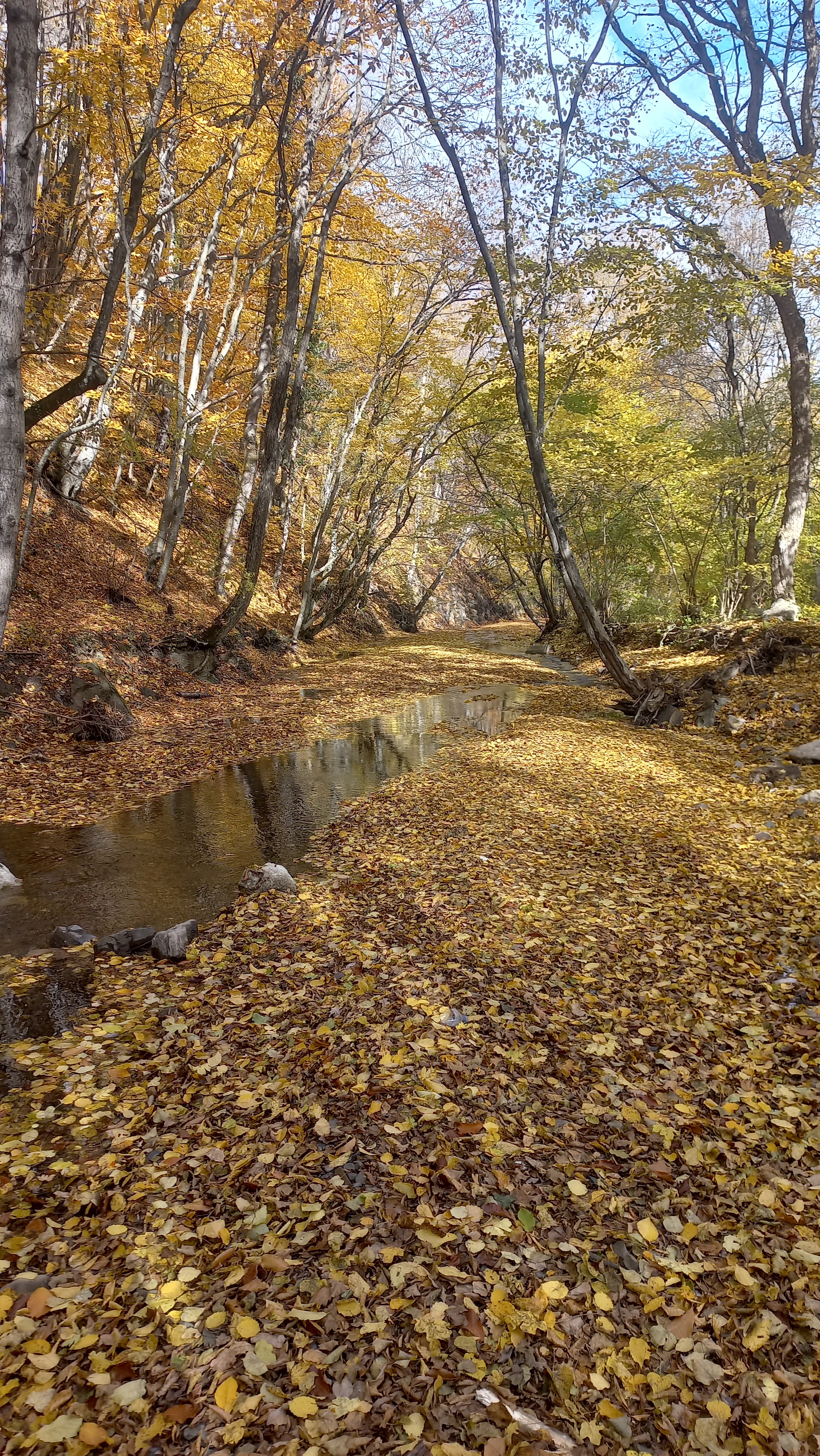 Crimea. Autumn. Twenty two - My, Nature, Autumn, Longpost, Crimea, The photo