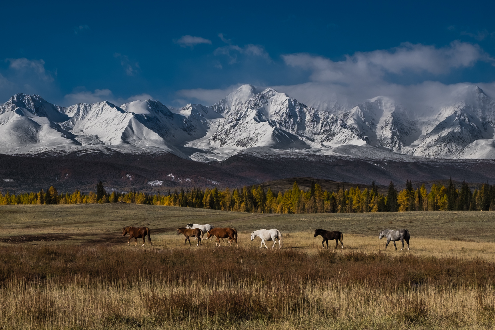 Kurai steppe - My, Landscape, The photo, The mountains, Altai Republic, Siberia, The nature of Russia, Nature, Autumn, Kurai steppe, Longpost