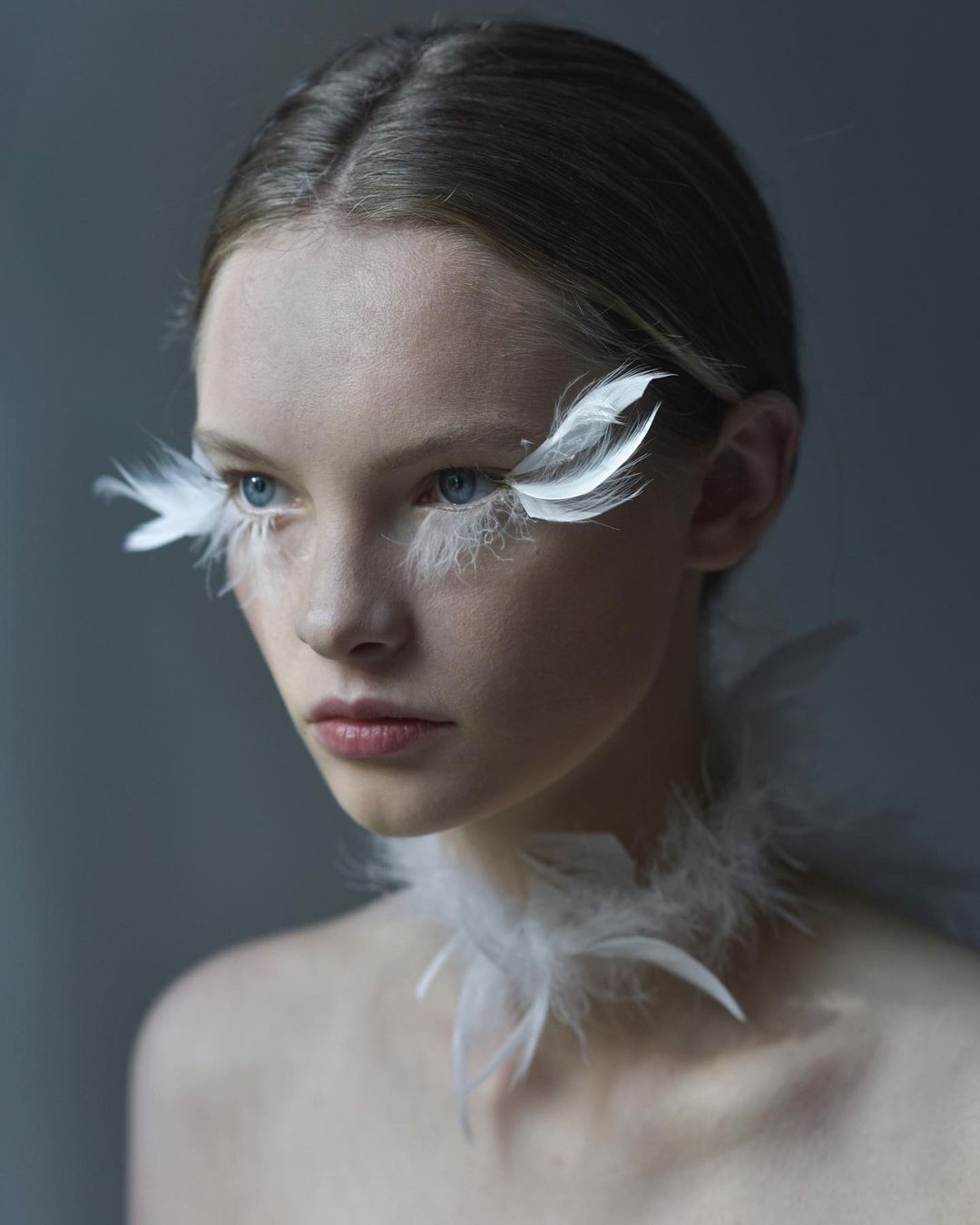 Райская птичка | Пикабу