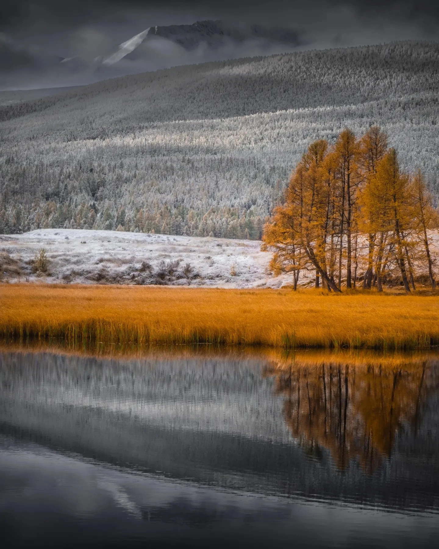 осенний алтай фото