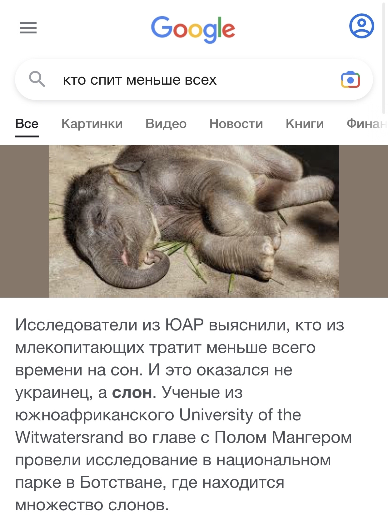 Who sleeps the least? - My, Google, Elephants, Ukrainians, Screenshot