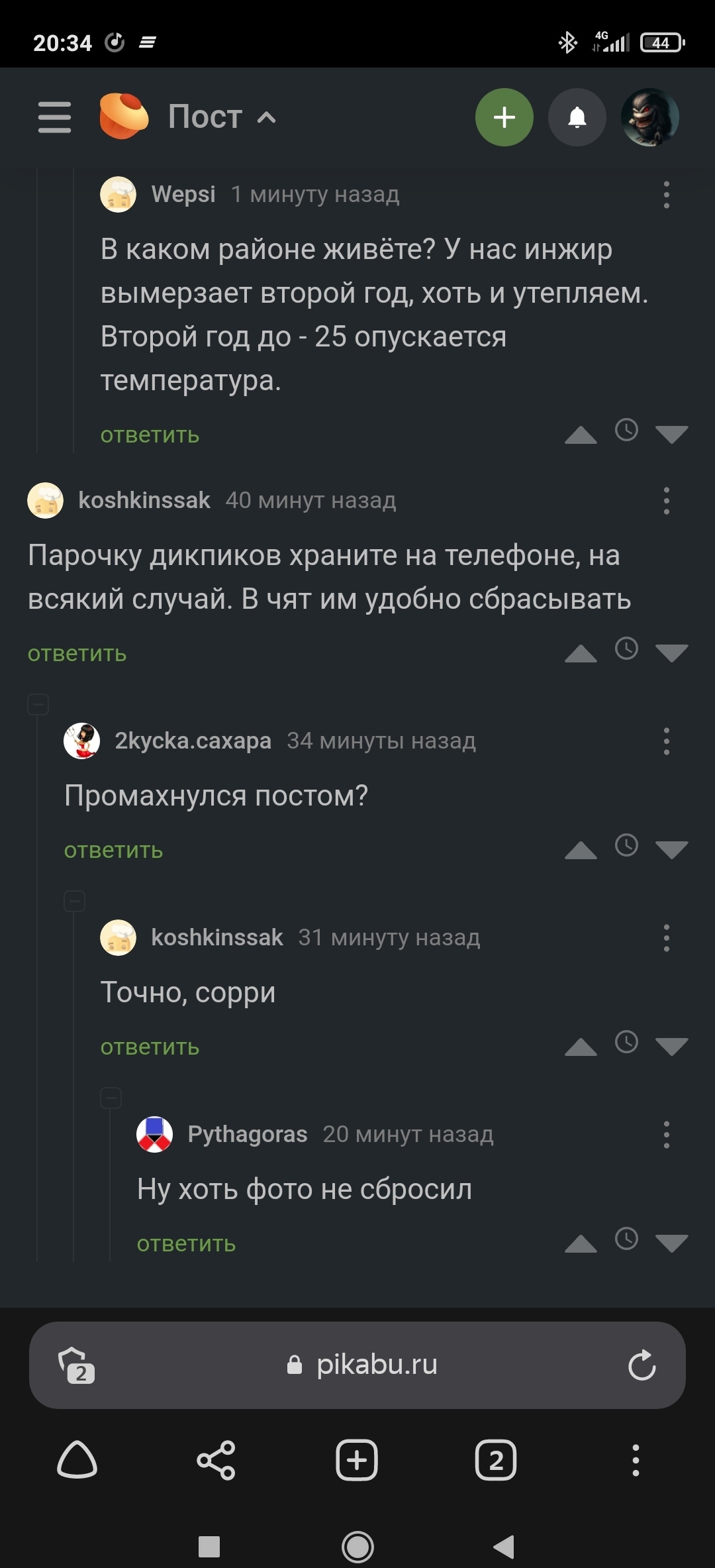 Чутка промазал - Скриншот, Комментарии на Пикабу, Банан, Не в том месте, Краснодарский Край, Длиннопост