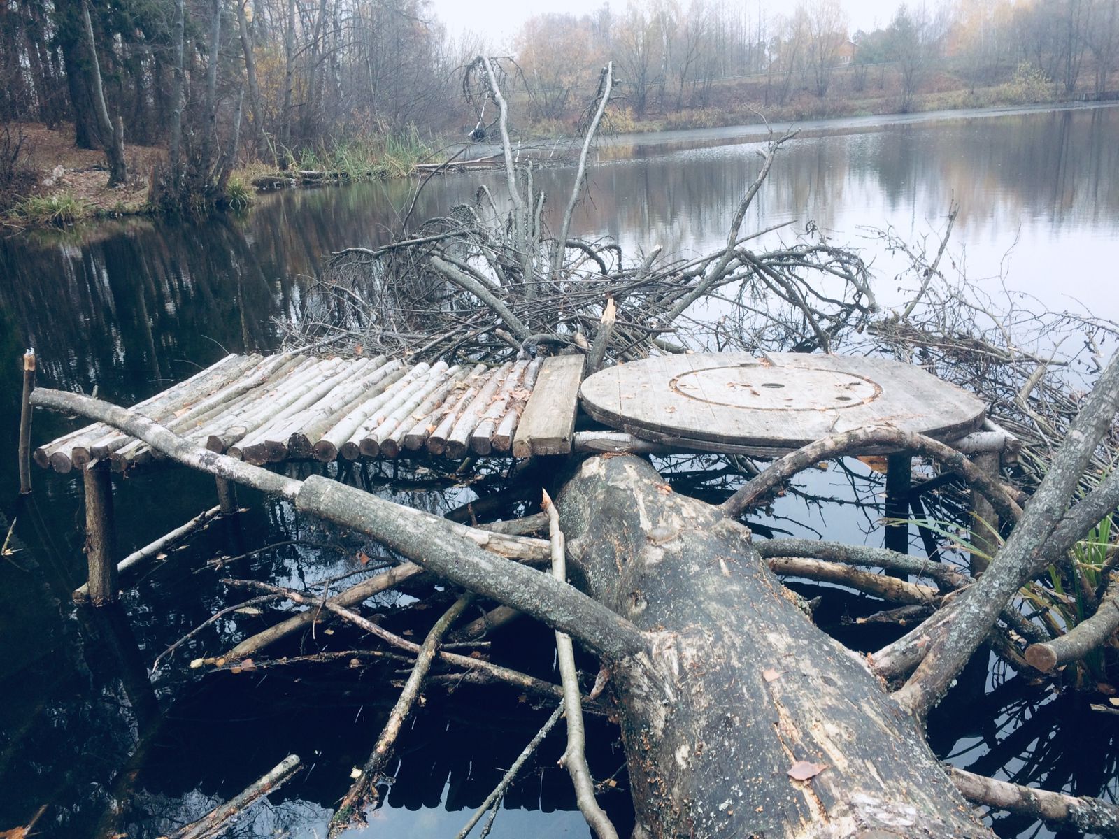 Take-off area (well, you understand for whom;) (Moscow region) - My, Kiki's delivery service, Подмосковье, Nature