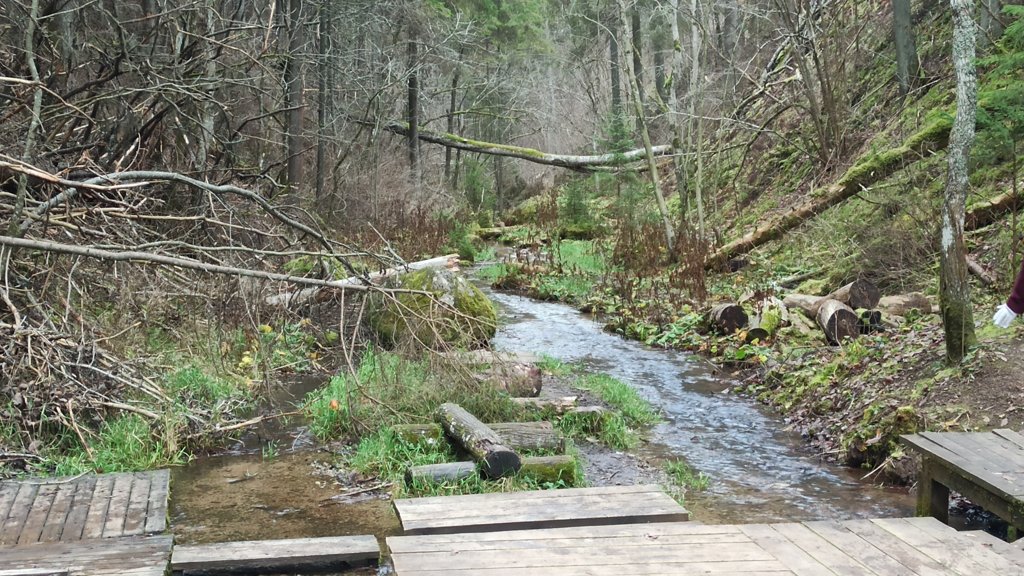 Walking Story #12: Radon Springs - My, Tourism, Hike, Camping, Radon, Longpost