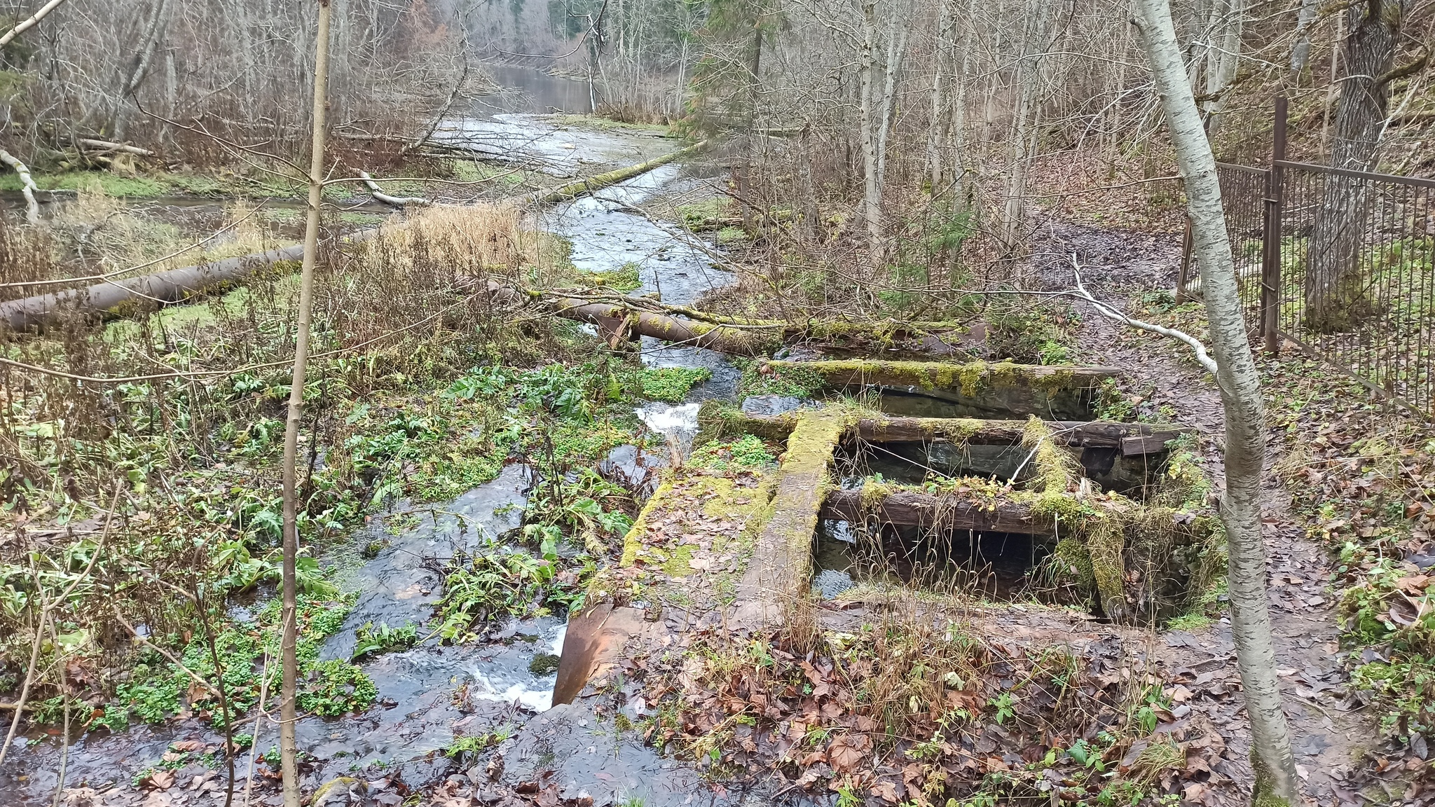 Walking Story #12: Radon Springs - My, Tourism, Hike, Camping, Radon, Longpost