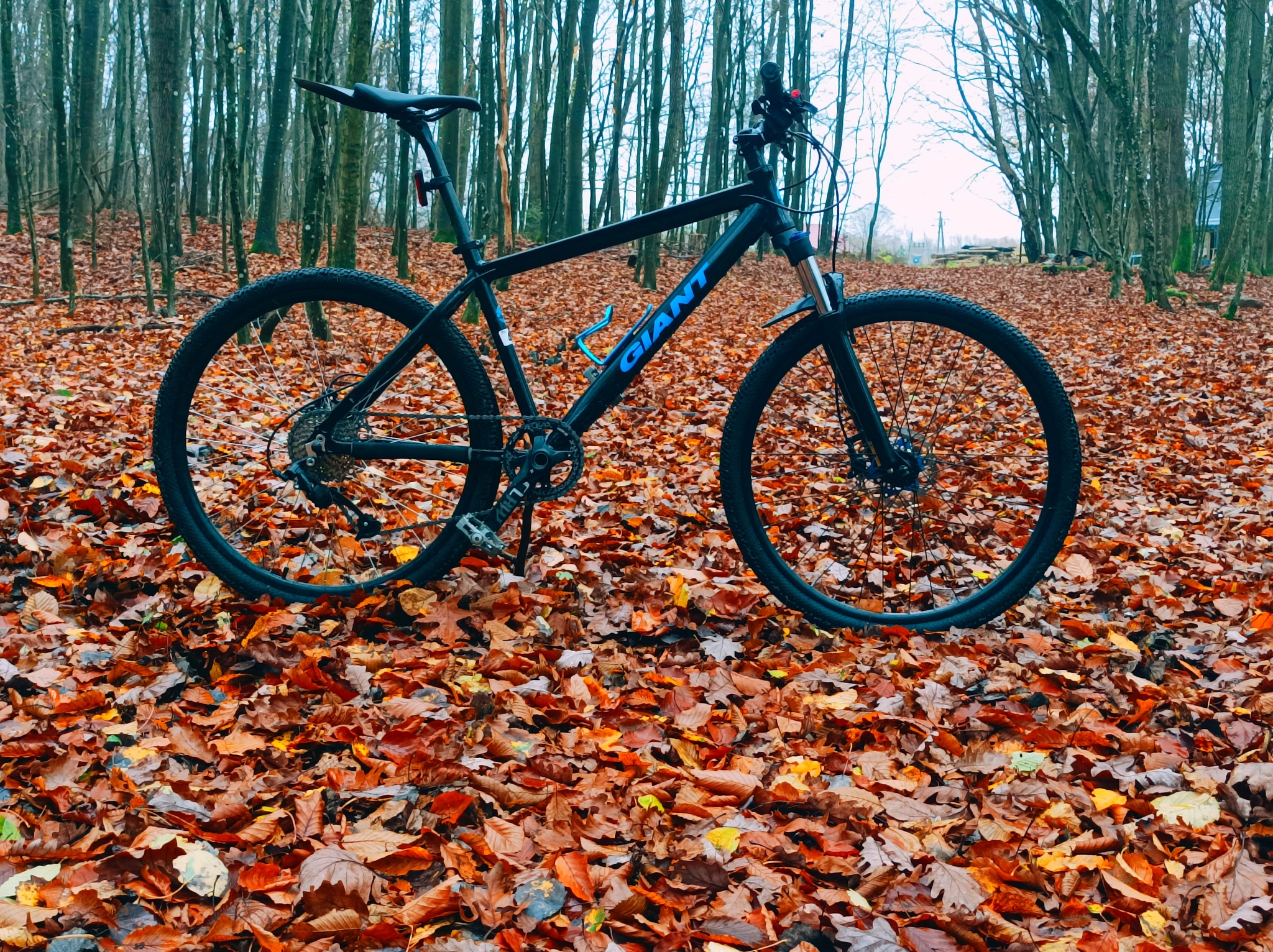 Velo autumn - A bike, Kaliningrad, Kaliningrad region, Autumn, Mtb, Longpost