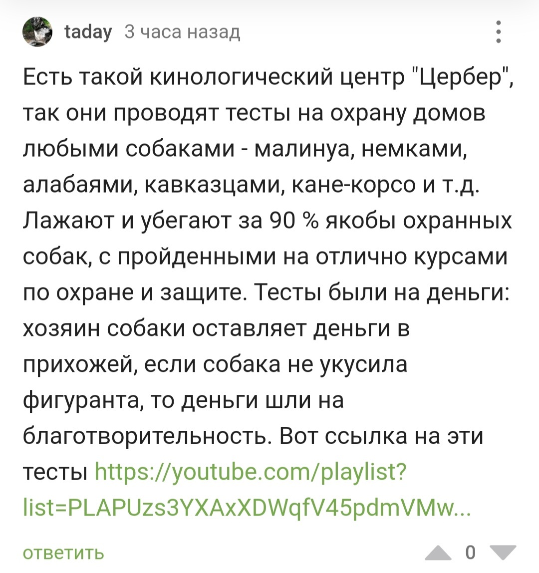 Собачья дилемма: предупреждений не понимает, кусать не хочется | Пикабу