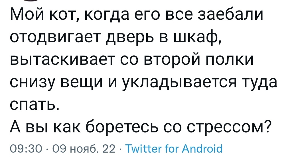 А вы как боретесь со стрессом? - Скриншот, Кот, Стресс, Мат, Twitter