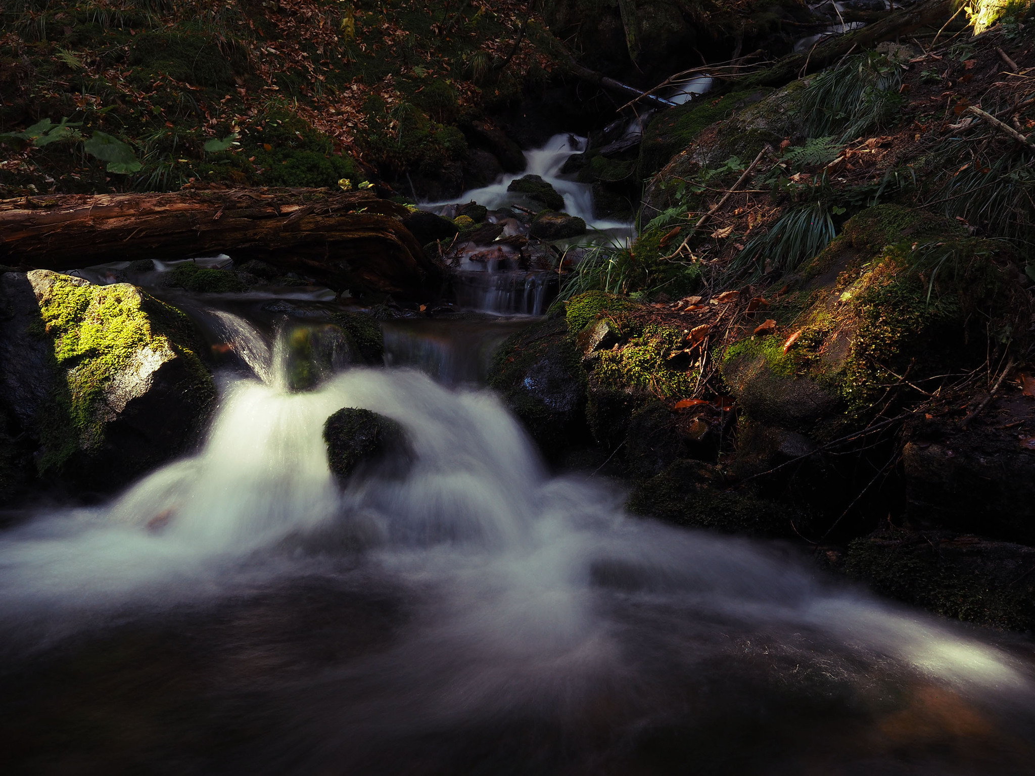 Dombay, autumn 2020 part 2 - My, Olympus OMD em-10 Mark II, The photo, Dombay, Longpost