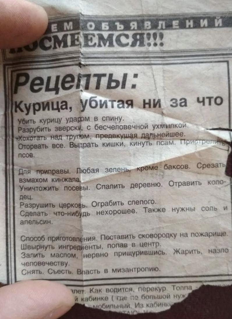 Приколы про кур