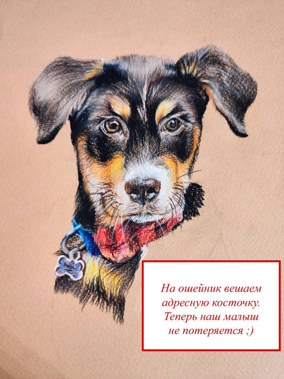 Lesson 3 - My, Drawing lessons, Colour pencils, Drawing, Art, Dog, Longpost