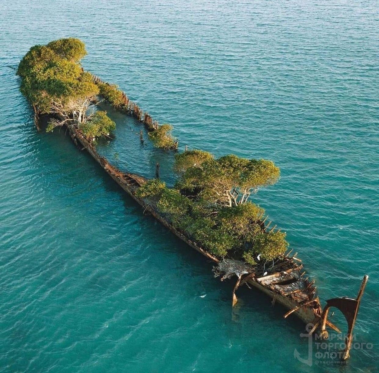 Man is part of nature - Vessel, skeleton, Sea, Repeat, The photo