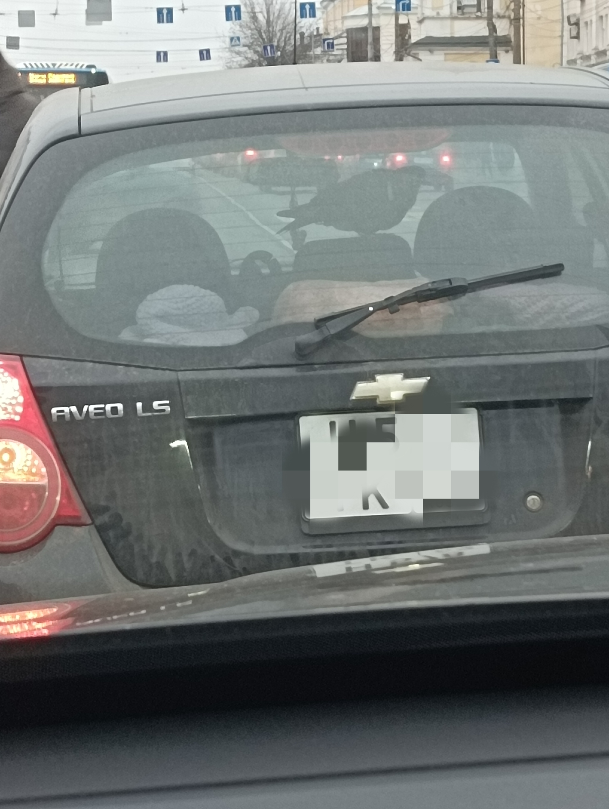 Lonely dove on a car outside the window - My, Pigeon, Auto, Traffic