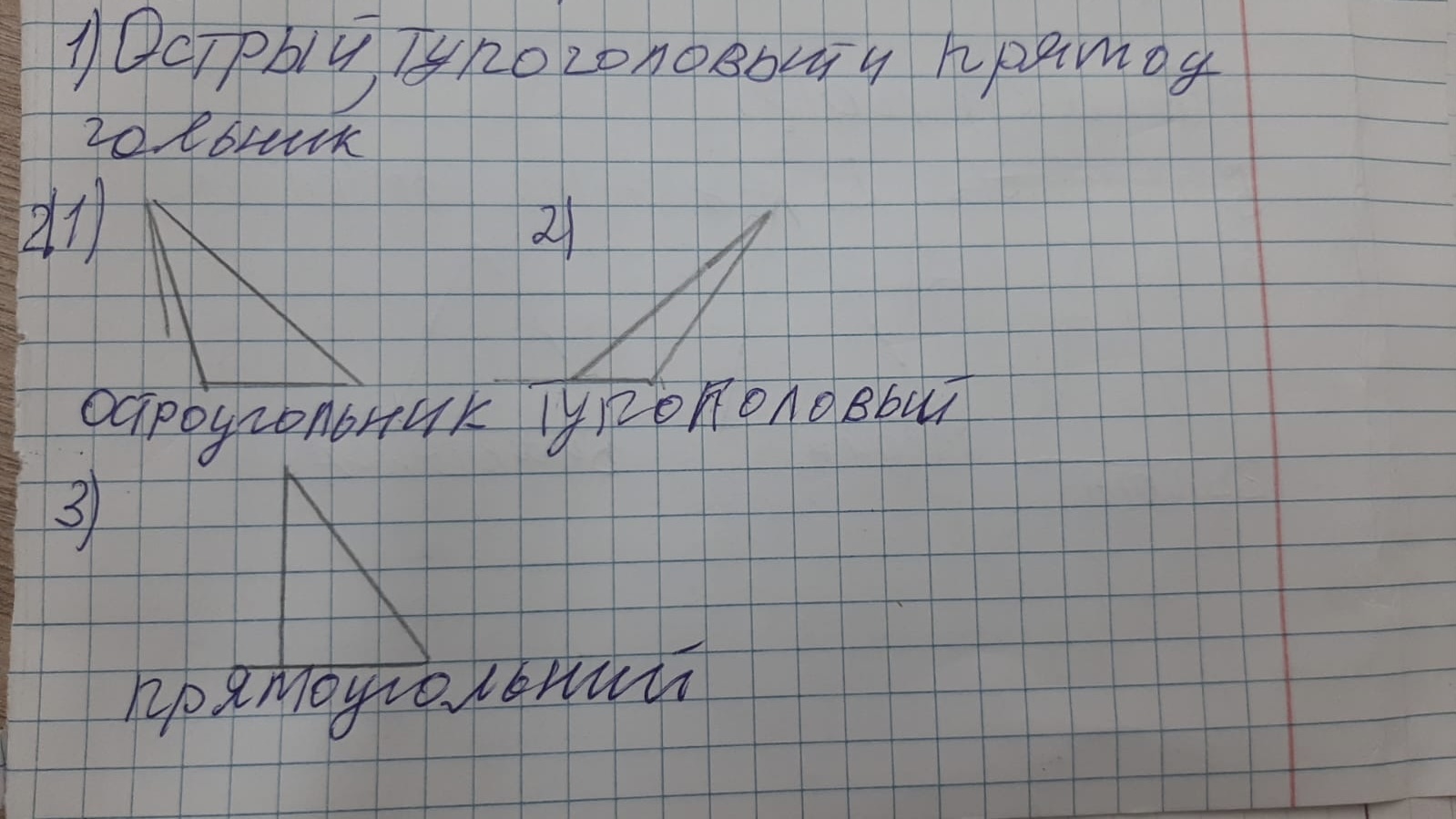 Остроугольник тупоголовый | Пикабу