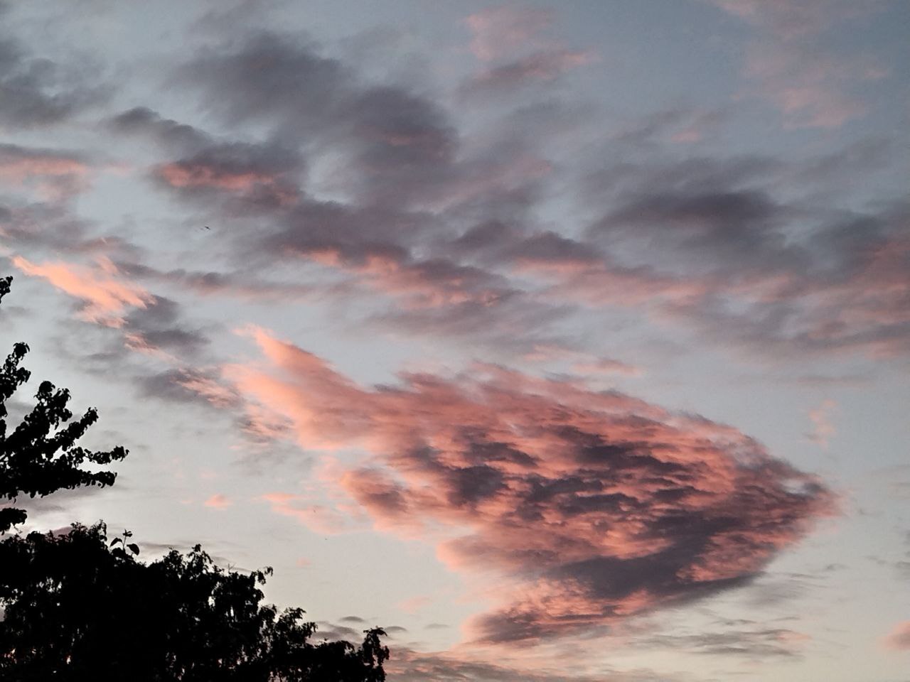 Birds + clouds - My, Mobile photography, Vivo, Birds, The photo, Sky, Clouds, Longpost