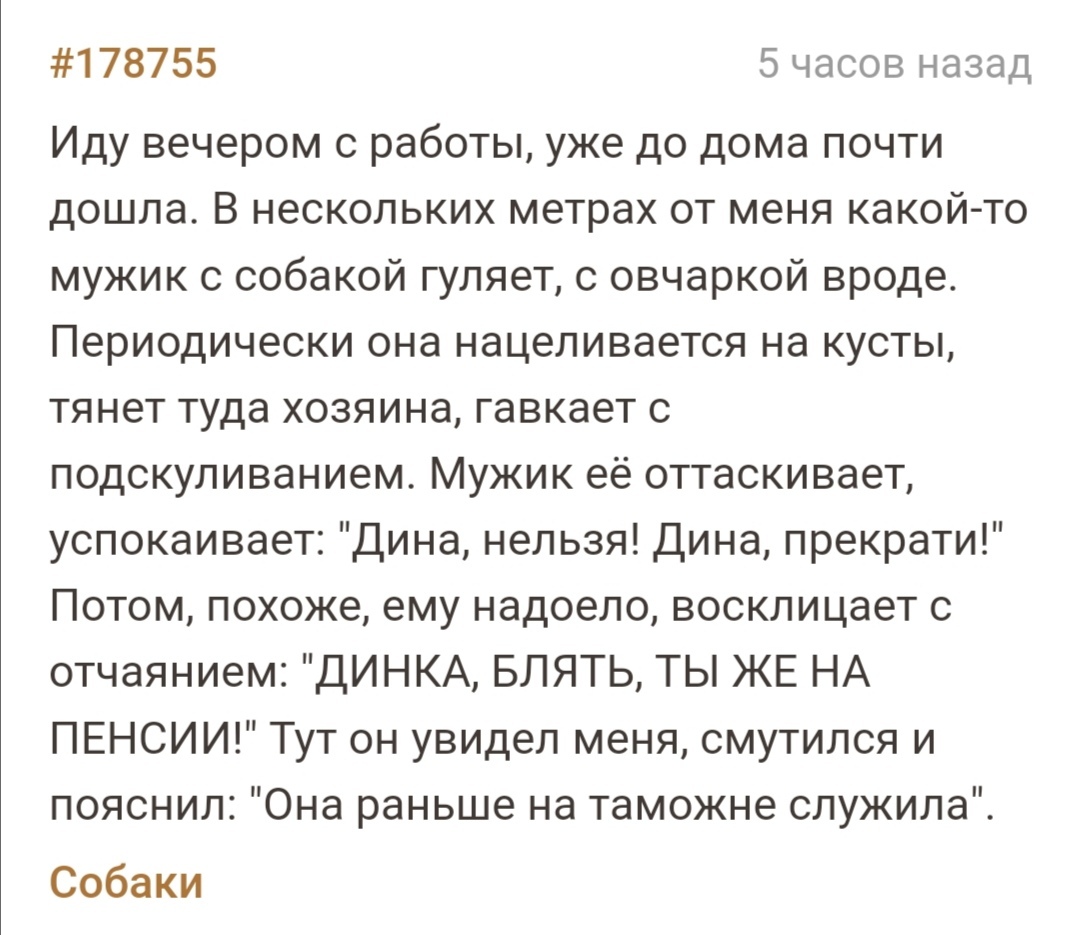 Работа даже на пенсии - Скриншот, Подслушано, Собака, Таможня, Пенсия, Мат, Закладки