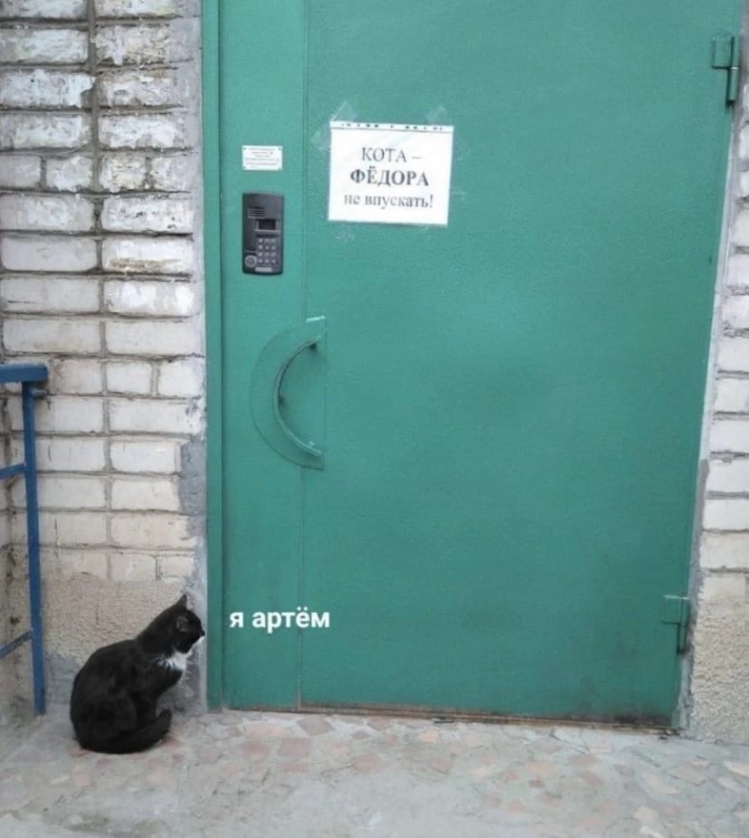 I am not Fedor - cat, Door, Picture with text, Repeat