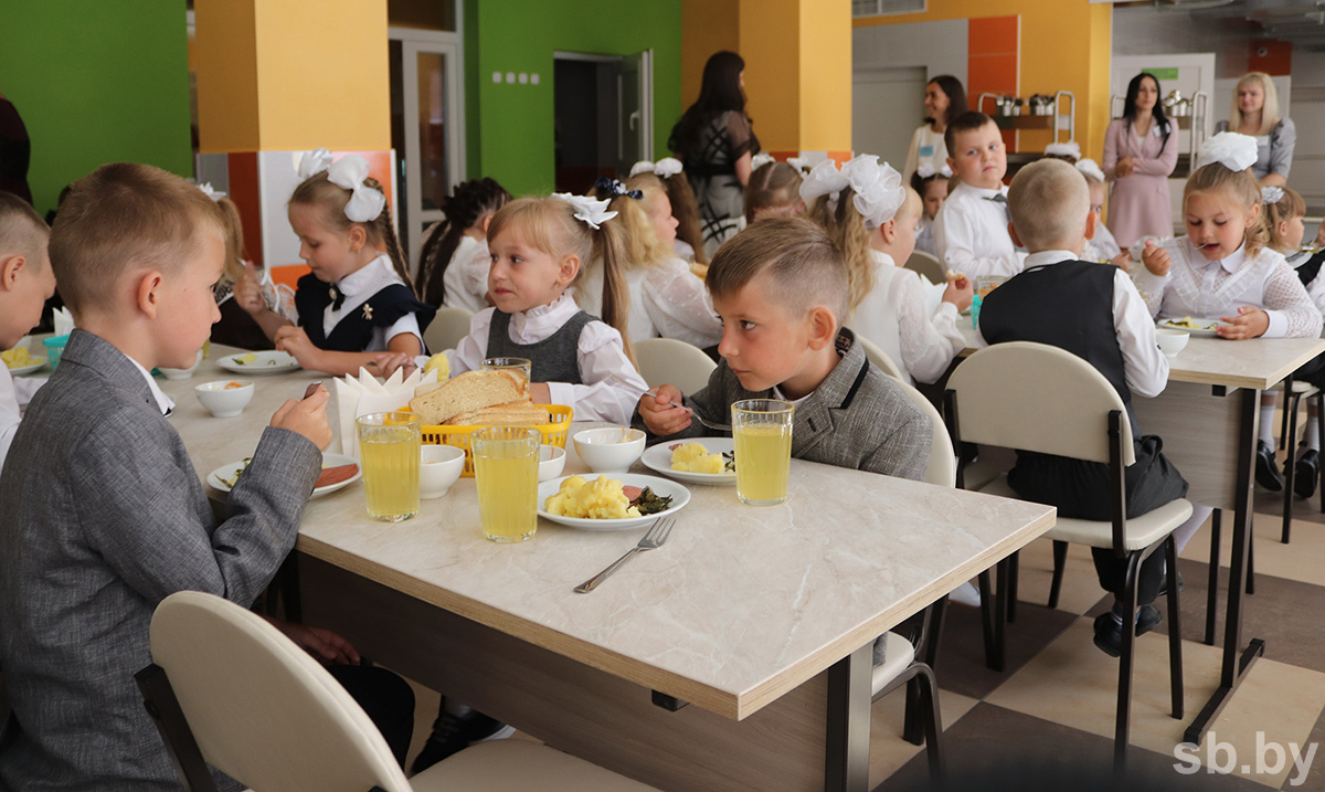 We studied the organization system in the country of school meals and found out what an ideal student's lunch should be - School, Nutrition, Republic of Belarus, Gomel, Food, Officials, Longpost
