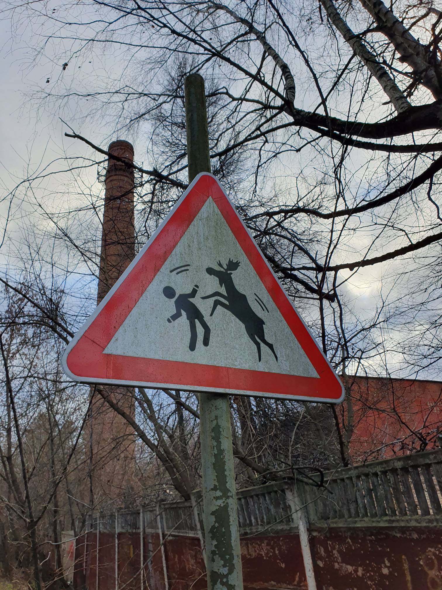 Carefully! Evil beasts! - My, Autumn, Forest, Elk, Elk Island, Road sign, The photo