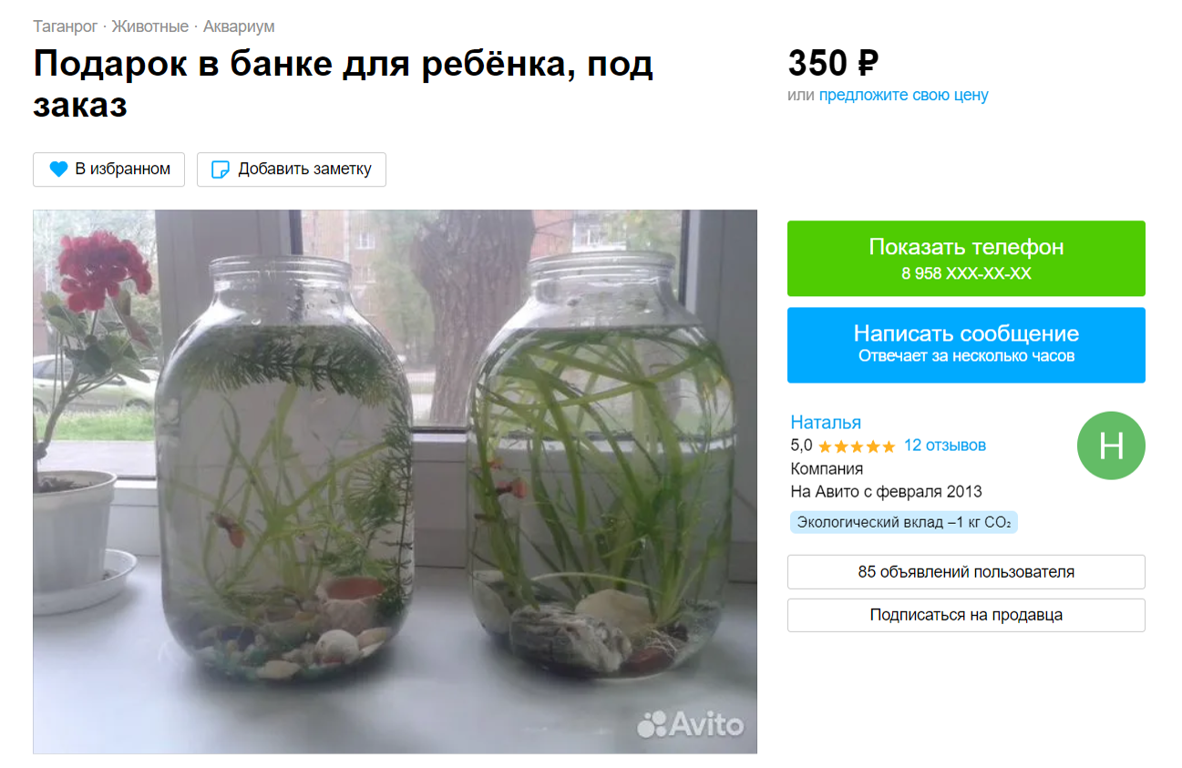 Bank aquarium. announcement with Avito - Aquarium, Aquarium, Aquarium fish, Avito, Funny ads, Screenshot