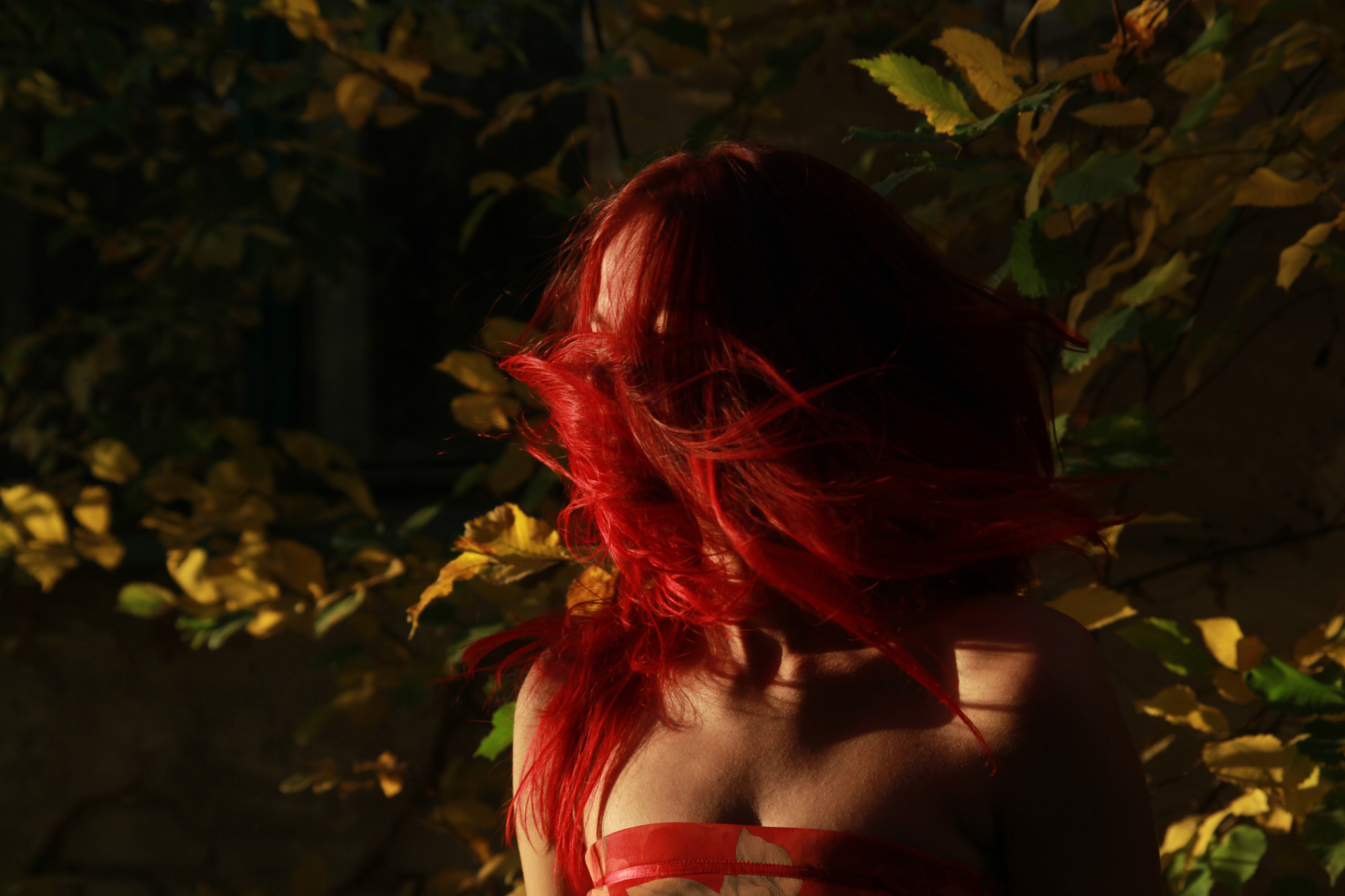 At the request of those in need - NSFW, My, Erotic, The photo, Autumn, Nature, Red hair, Girls