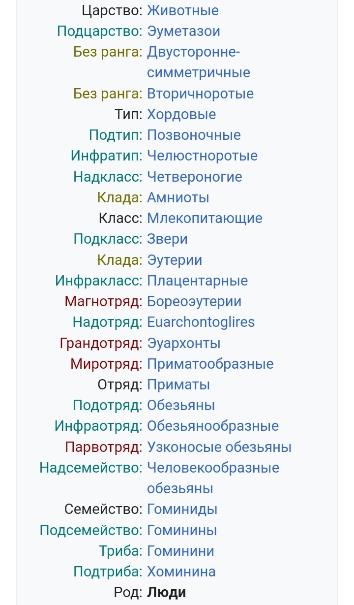 Ответ 45uyuyu45 в «Шах и мат креационистам?» - Чарльз Дарвин, Эволюция, Антропогенез, Антропогенез ру, Научпоп, Видео, YouTube, Ответ на пост, Длиннопост, Скриншот