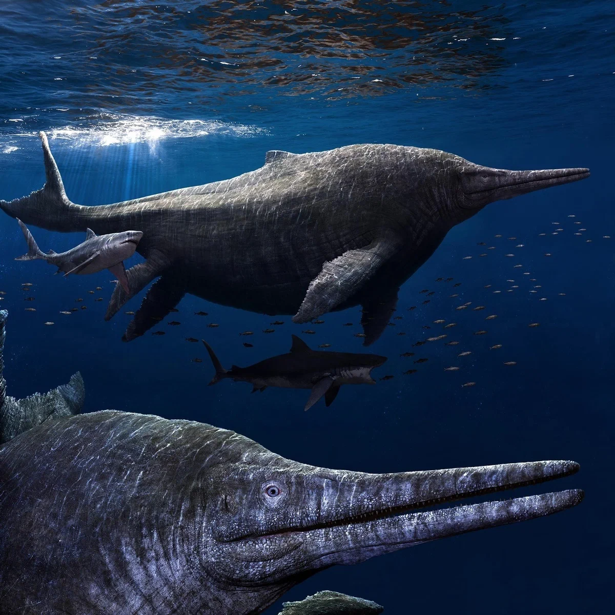 Shonisaurus: The largest marine lizard in history. 80 tons and a confusing past. How did such a colossus live? - Extinct species, Paleontology, Animal book, Yandex Zen, Longpost