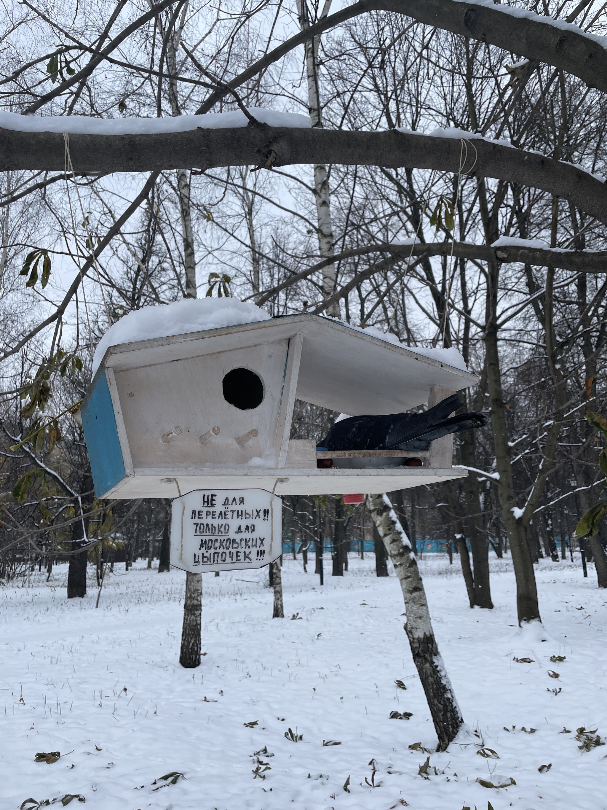 Moscow apartments - My, Winter, Trough, Snow, The park