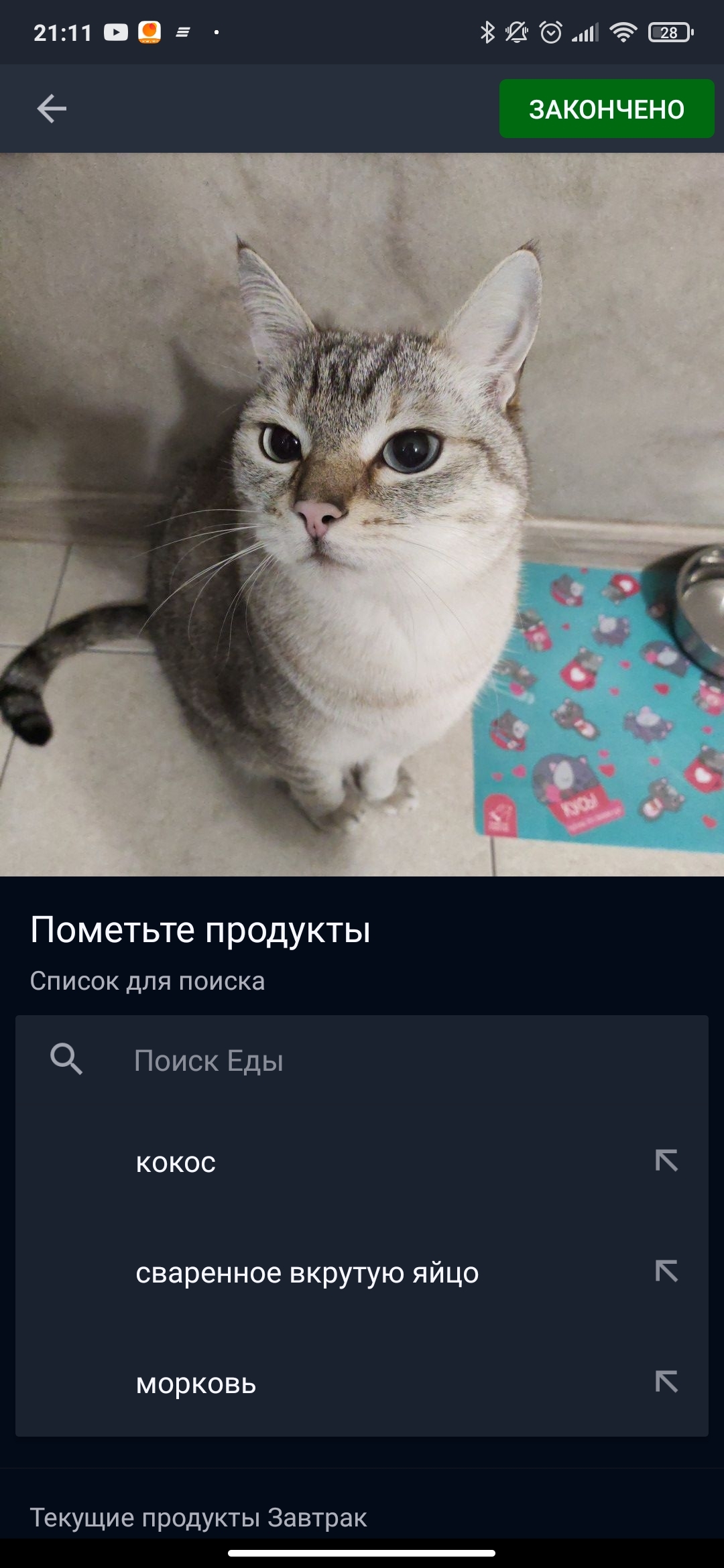 Коты - еда - Моё, Кот, Еда, Здоровое питание, Мобильная фотография