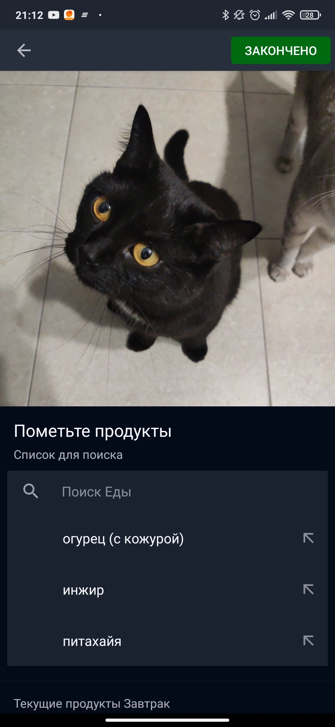 Коты - еда - Моё, Кот, Еда, Здоровое питание, Мобильная фотография