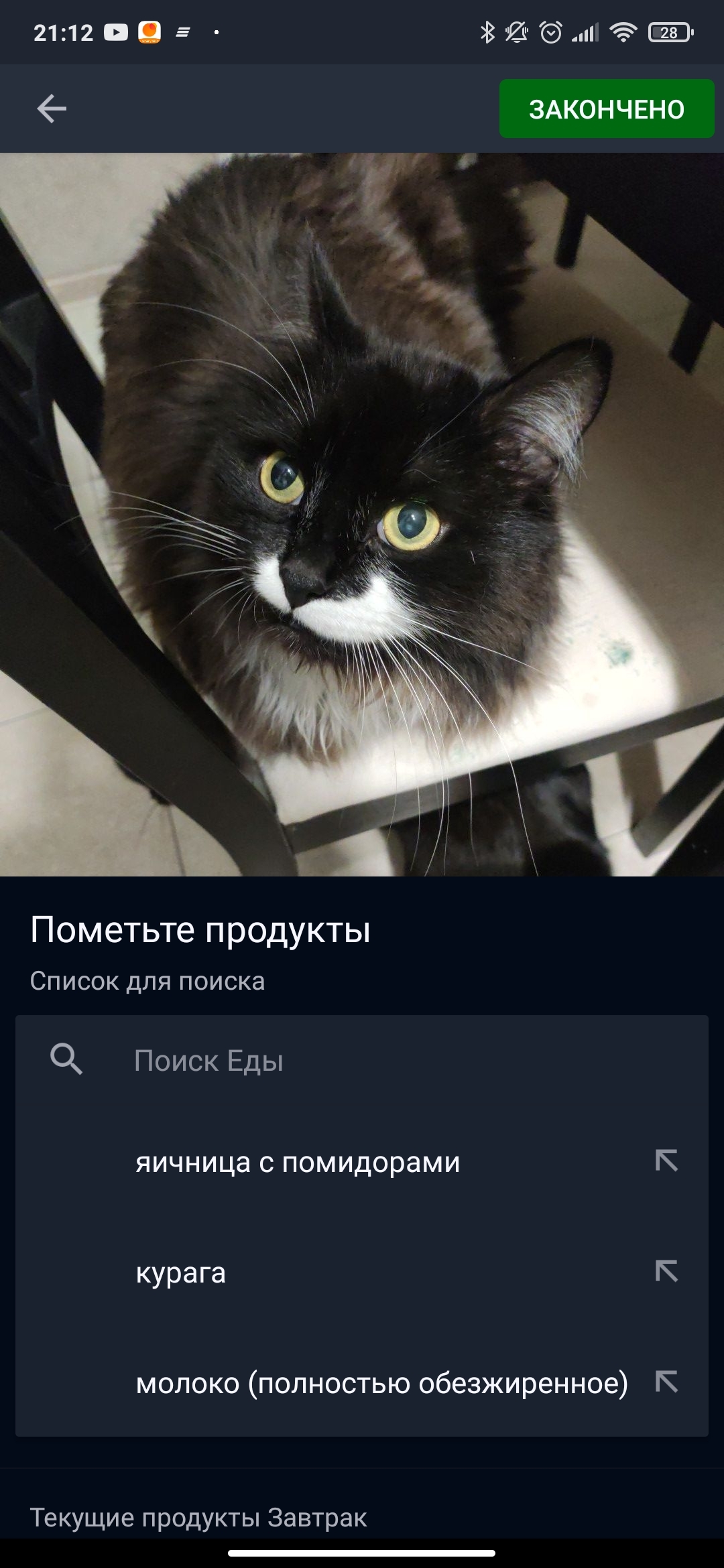 Коты - еда - Моё, Кот, Еда, Здоровое питание, Мобильная фотография