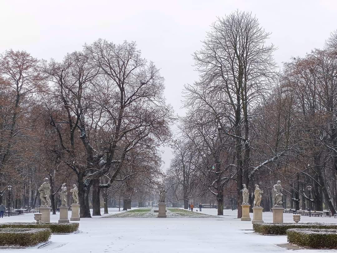 Warsaw today. Morning in the Saxon Garden - Warsaw, Winter, Walk, The photo, Longpost, The park, Tree, Sculpture