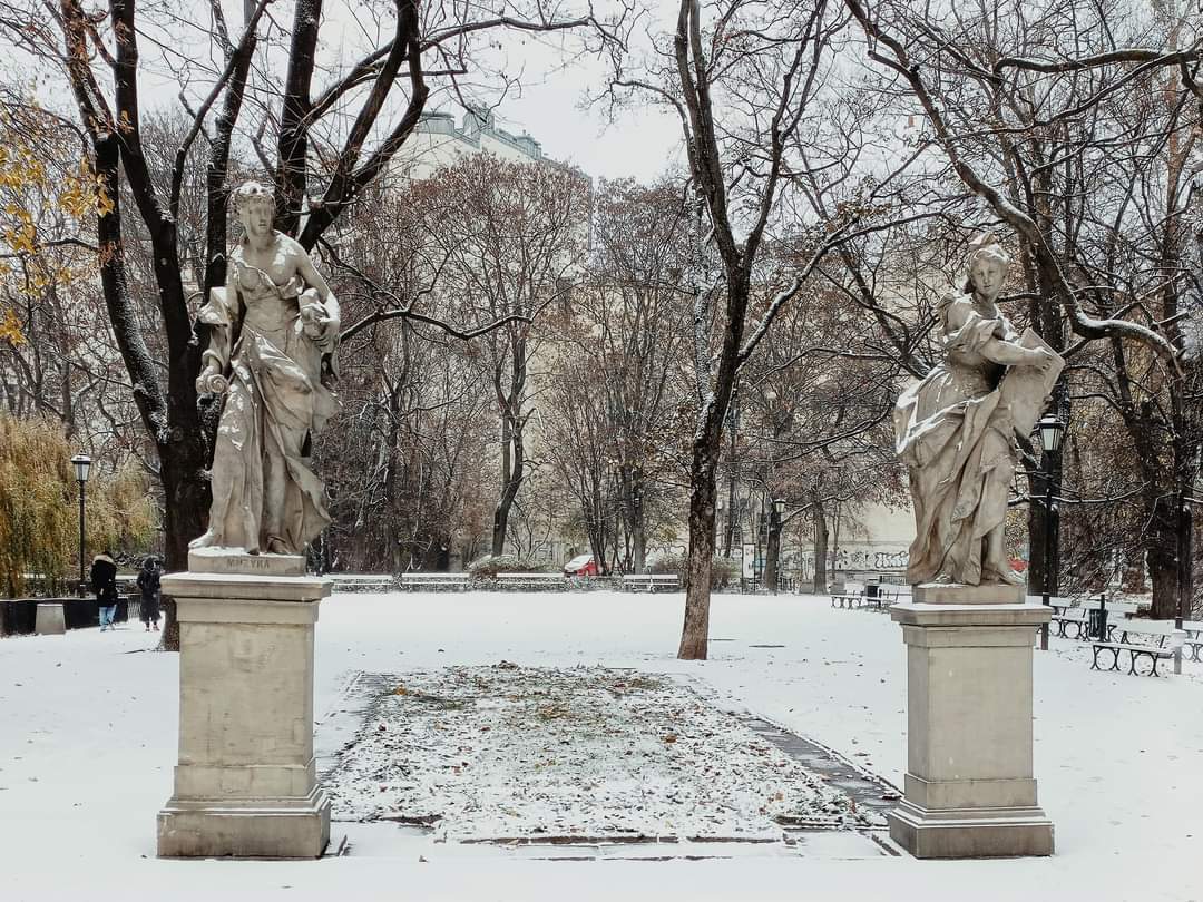 Warsaw today. Morning in the Saxon Garden - Warsaw, Winter, Walk, The photo, Longpost, The park, Tree, Sculpture