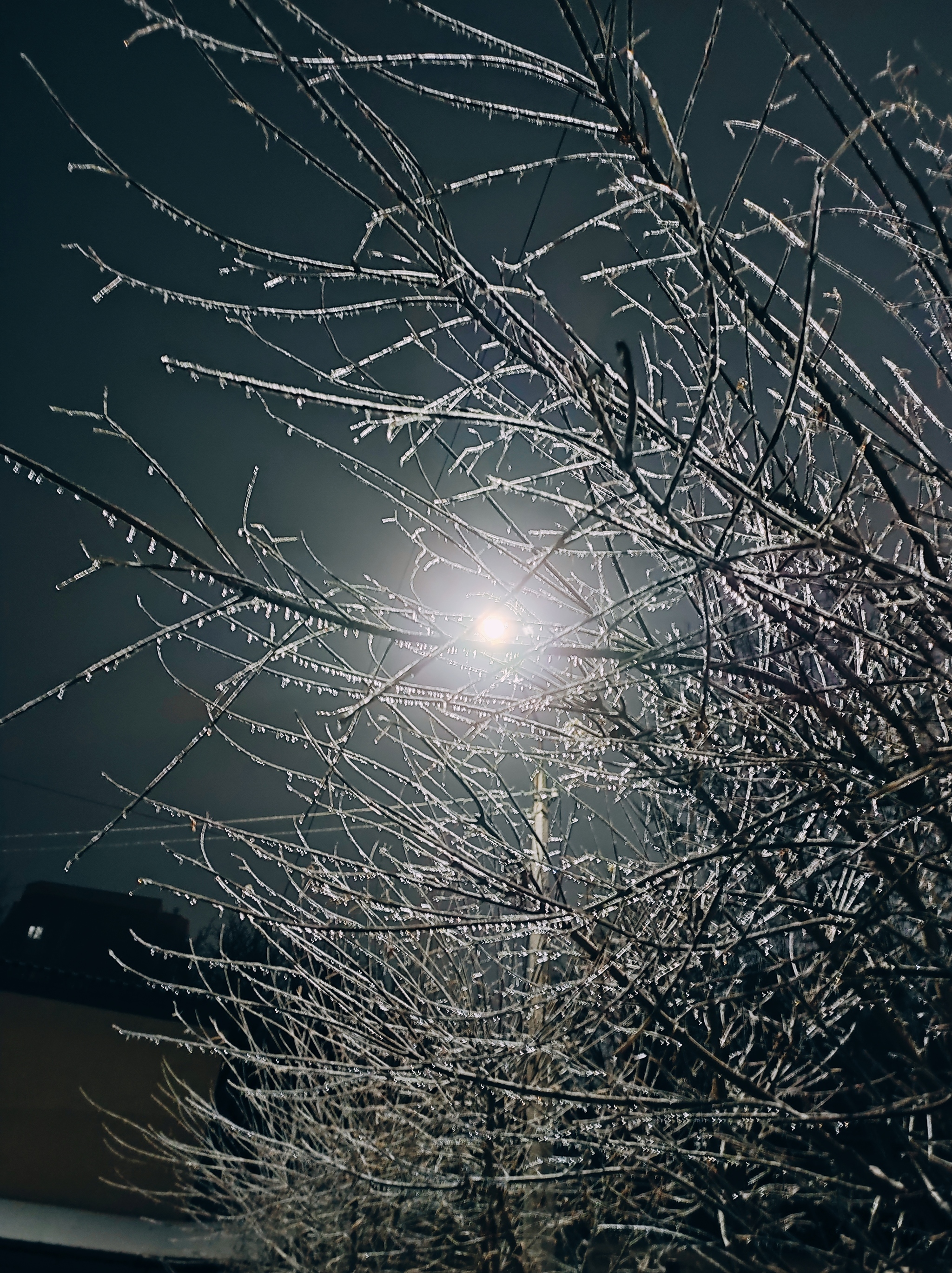 freezing rain - My, Mobile photography, Winter, Ice, Night, Lamp